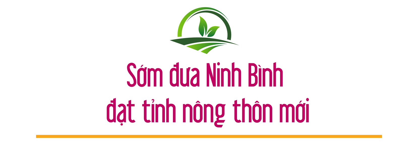 Emagazine Sức sống mới trên những vùng quê xứ cờ lau