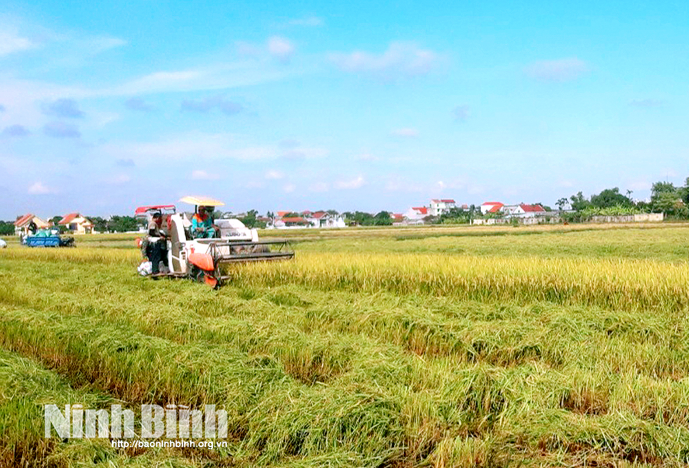 Emagazine Sức sống mới trên những vùng quê xứ cờ lau