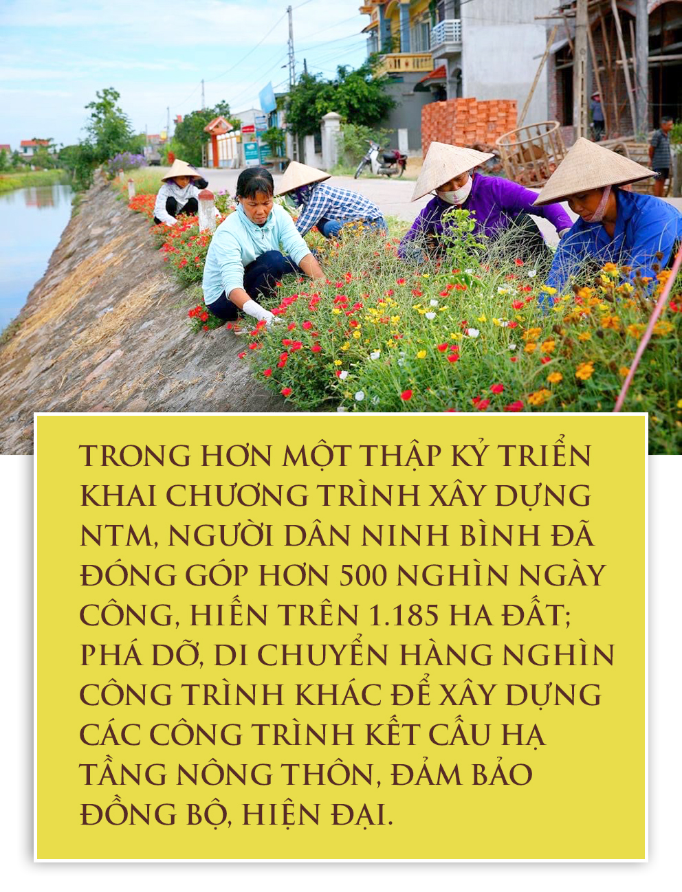 Emagazine Sức sống mới trên những vùng quê xứ cờ lau