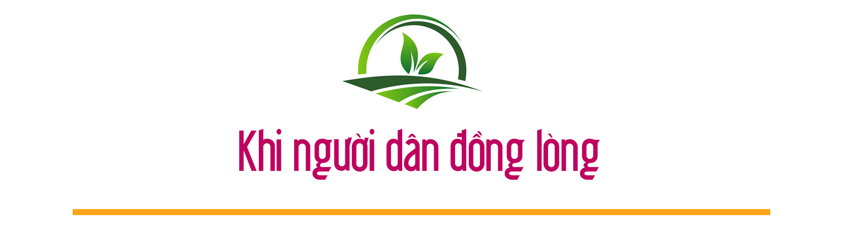 Emagazine Sức sống mới trên những vùng quê xứ cờ lau