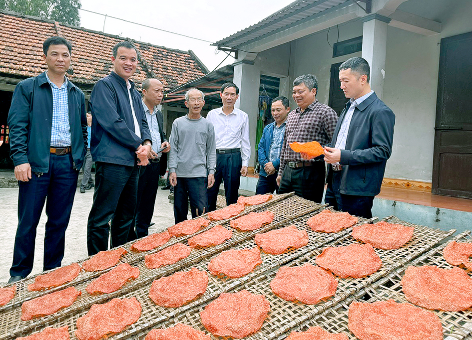 Emagazine Sức sống mới trên những vùng quê xứ cờ lau