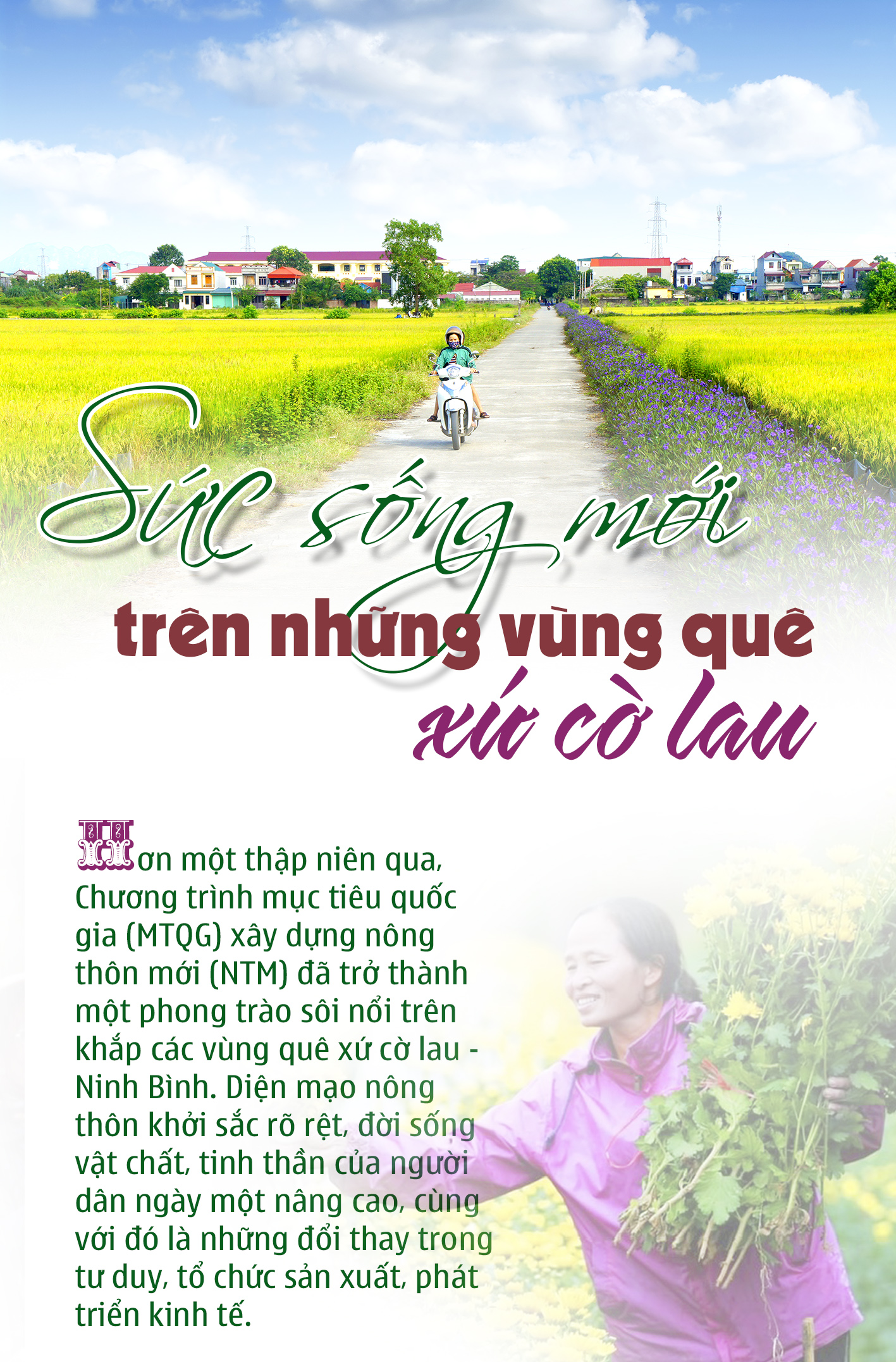 Emagazine Sức sống mới trên những vùng quê xứ cờ lau
