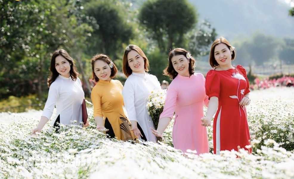 Xao xuyến mùa cúc họa mi