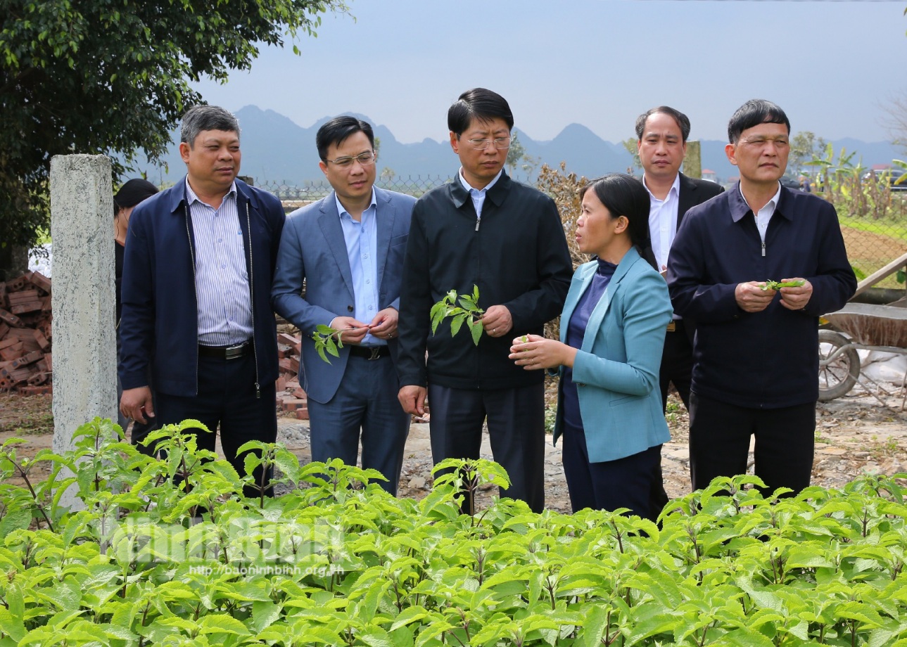 Lãnh đạo UBND tỉnh khảo sát một số cơ sở sản xuất sản phẩm OCOP tại thành phố Tam Điệp và huyện Yên Mô