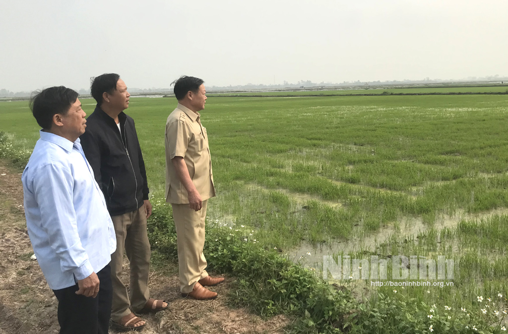 Nhân dân quan tâm vấn đề bồi thường hỗ trợ tái định cư giá đất trong Luật đất đai sửa đổi