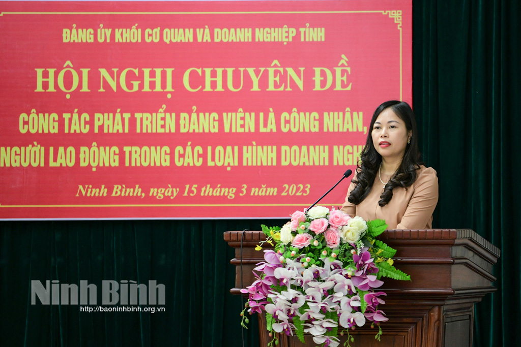 Bàn giải pháp phát triển đảng viên là công nhân người lao động trong các loại hình doanh nghiệp