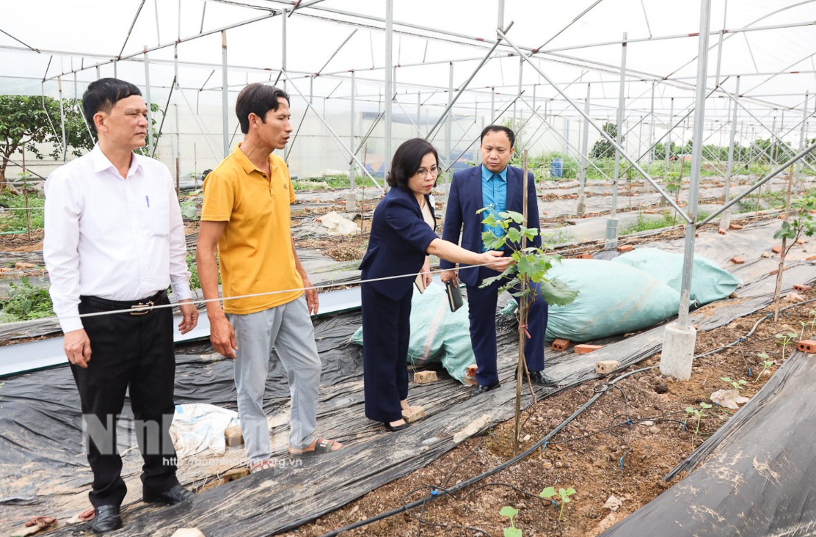 Ký kết chương trình phối hợp giữa Liên minh HTX tỉnh và huyện Yên Mô