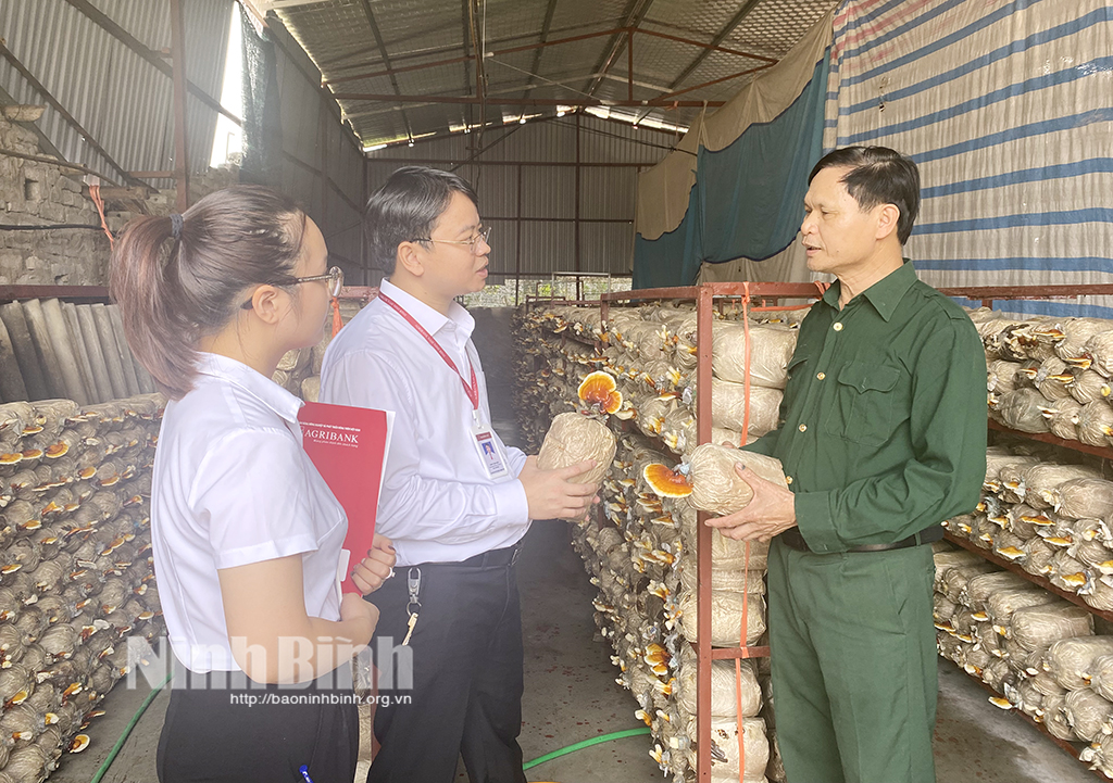 Ưu tiên dẫn vốn phục vụ phát triển nông nghiệp nông thôn