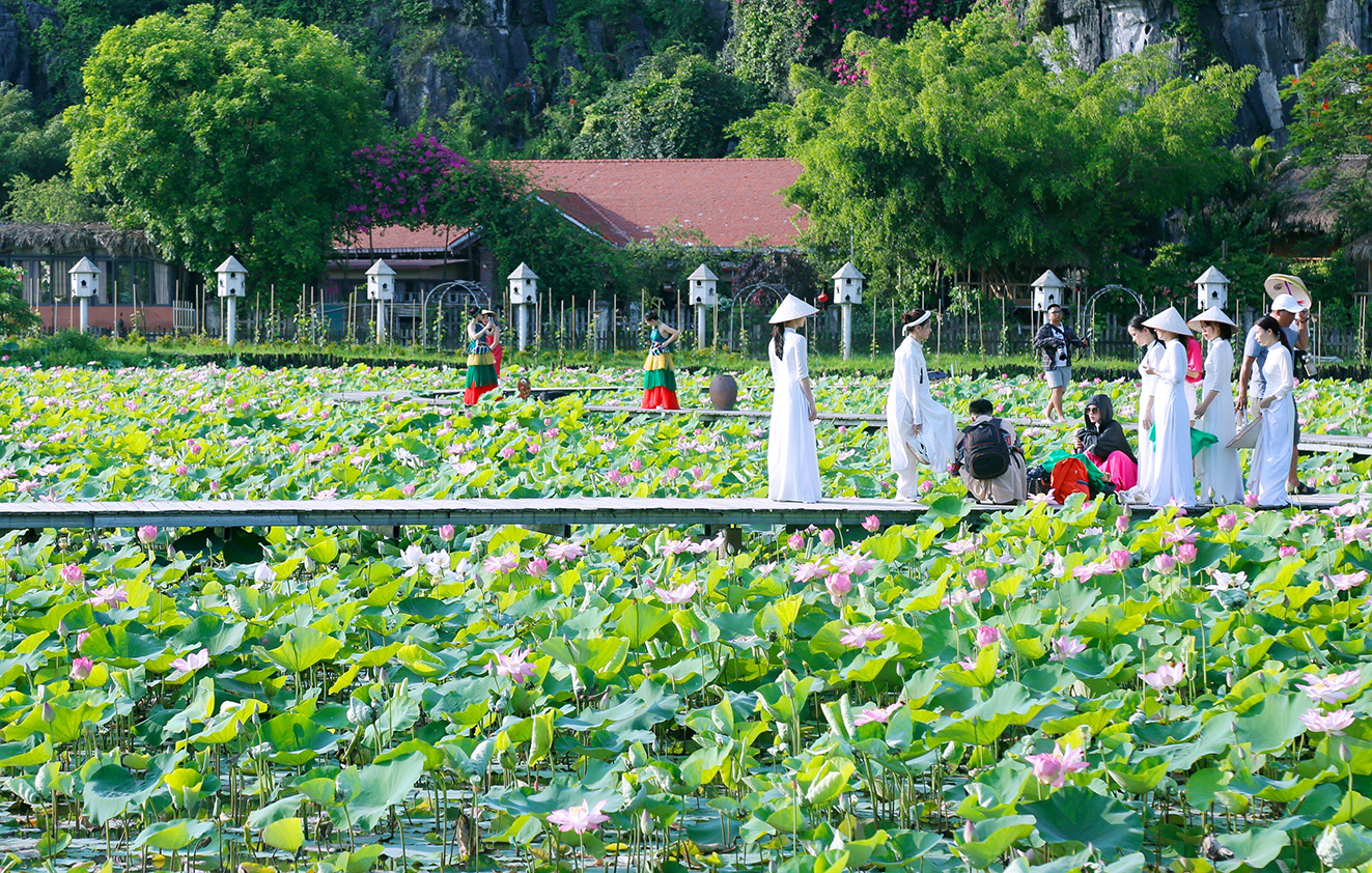 emagazine Hương sen đất Cố đô