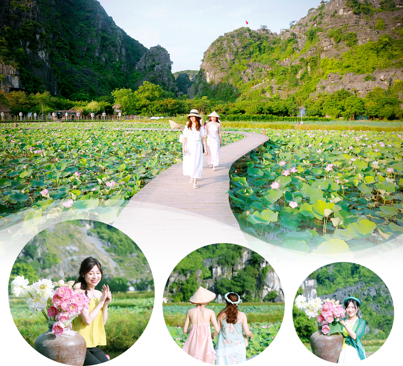 emagazine Hương sen đất Cố đô