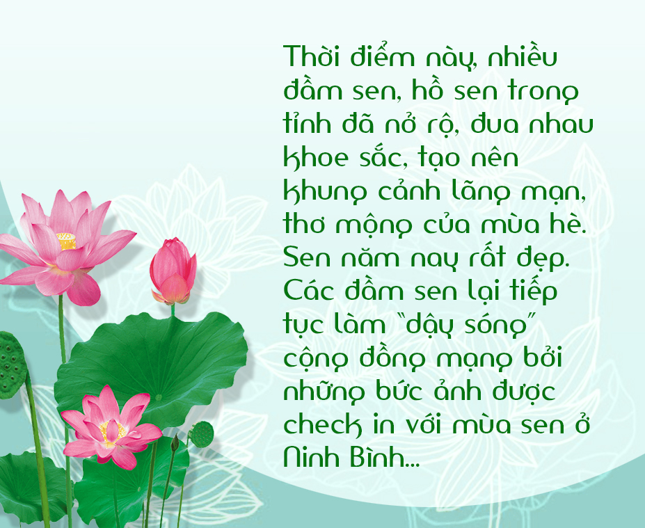 emagazine Hương sen đất Cố đô