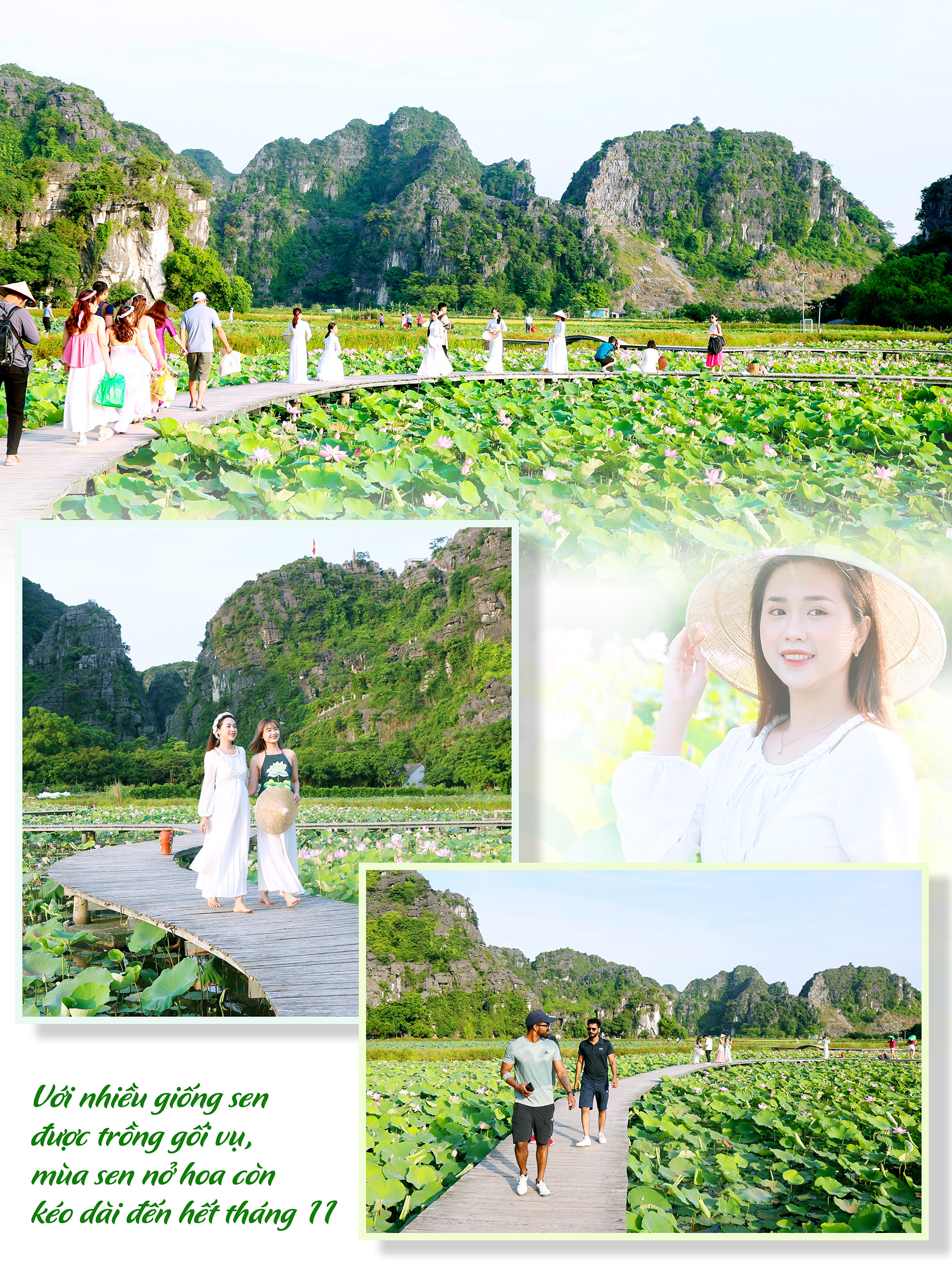 emagazine Hương sen đất Cố đô