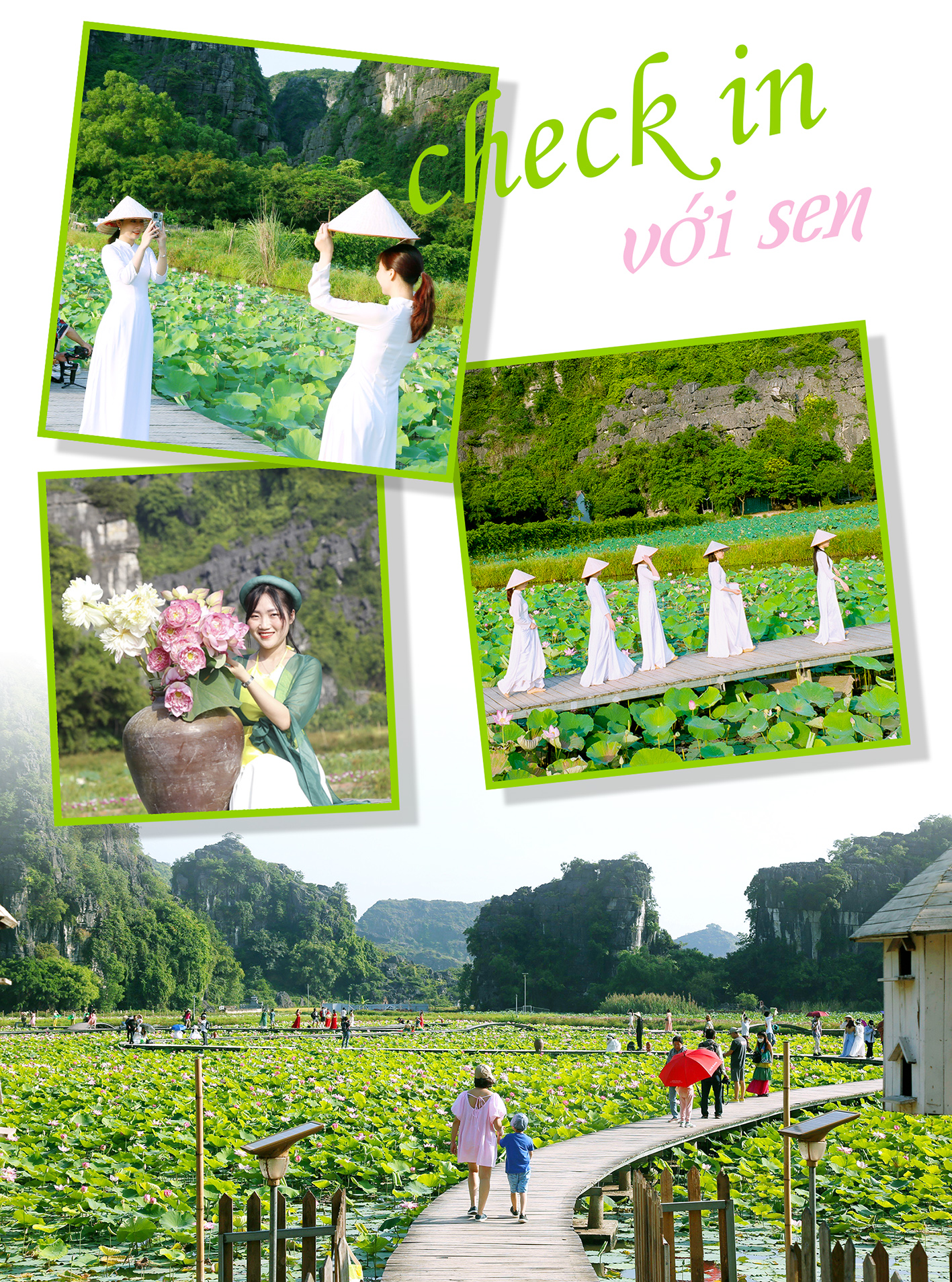 Emagazine Hương sen đất Cố đô