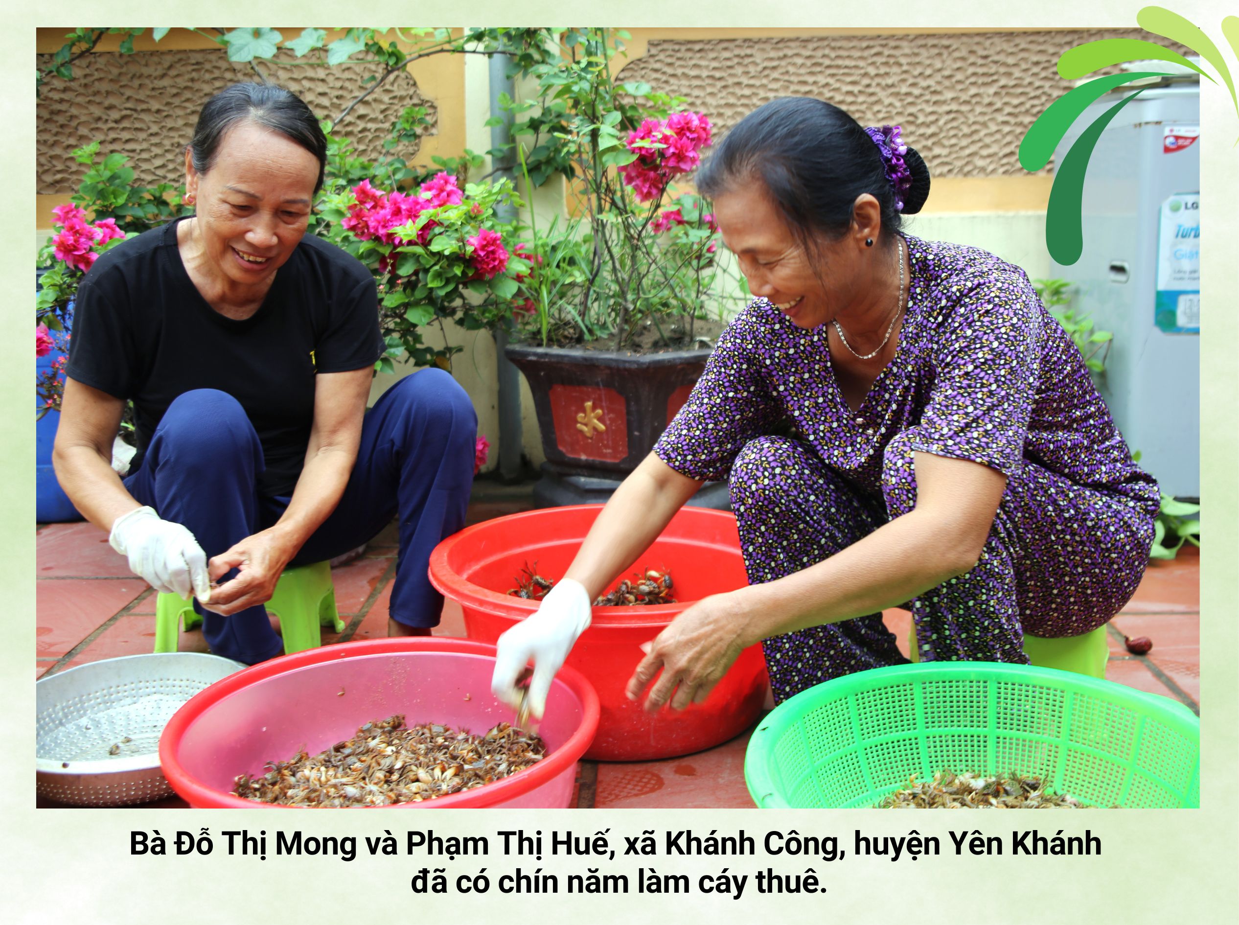 Emagazine Mắm cáy Yên Khánh thức quà quê đậm đà tinh túy