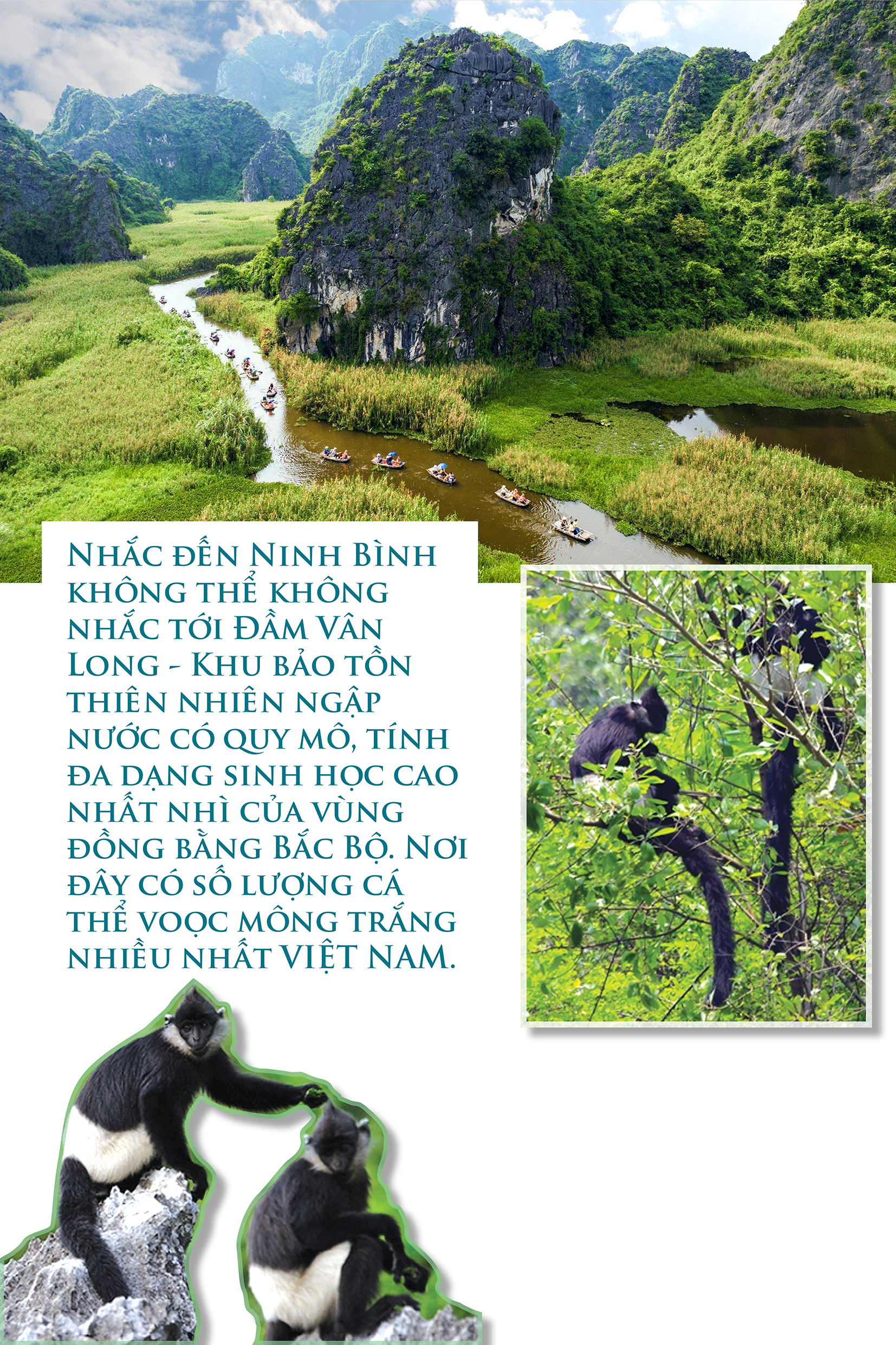 emagazine Lan tỏa hình ảnh đất và người Ninh Bình