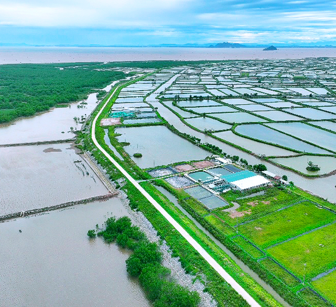 emagazine Ninh Bình cần một cơ chế đặc thù để đảm đương tốt sứ mệnh gìn giữ bảo tồn di sản và biến di sản thành động lực phát triển kinh tế xã hội