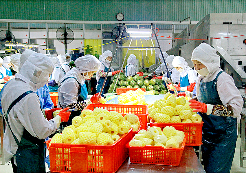 emagazine Ninh Bình cần một cơ chế đặc thù để đảm đương tốt sứ mệnh gìn giữ bảo tồn di sản và biến di sản thành động lực phát triển kinh tế xã hội