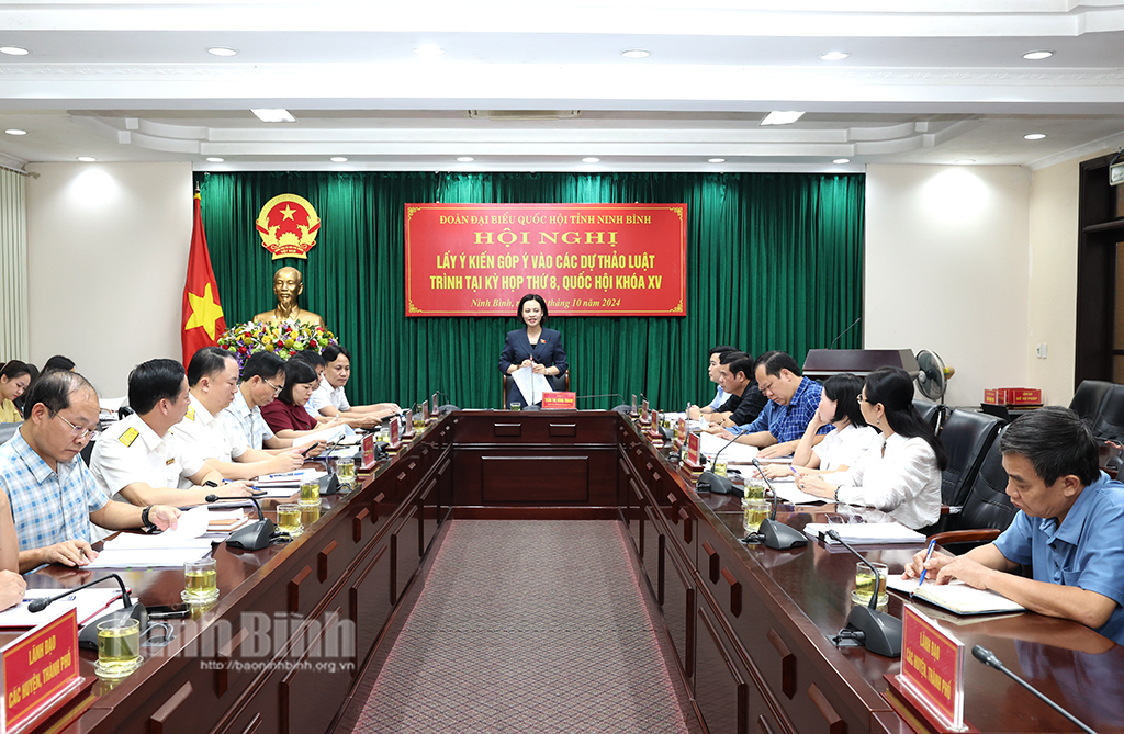 Đoàn ĐBQH tỉnh lấy ý kiến đóng góp vào các dự thảo luật trình tại kỳ họp thứ 8 Quốc hội khóa XV