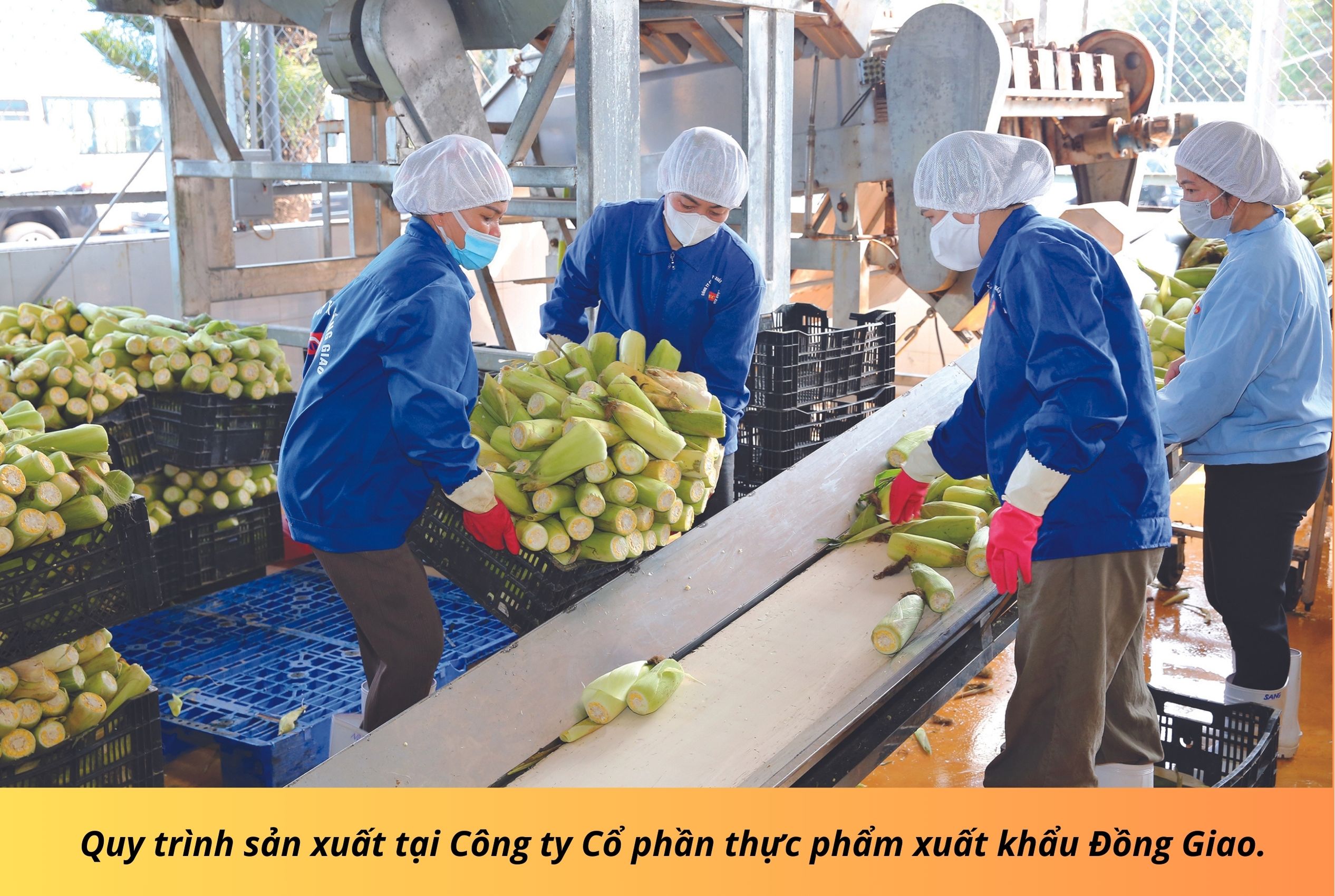 Emagazine Nông nghiệp Ninh Bình khẳng định bản sắc hướng tới khát vọng vươn tầm