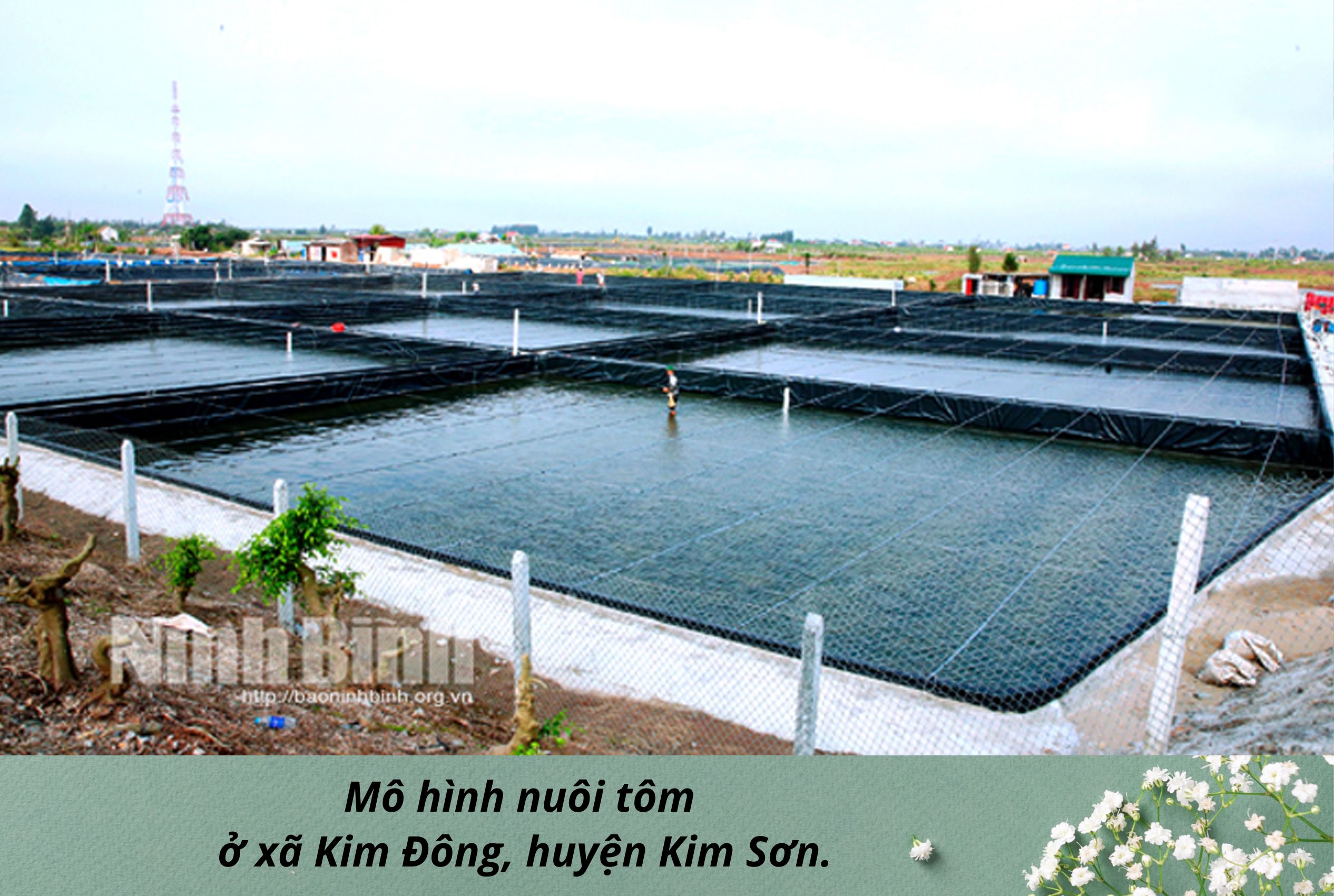 Emagazine Nông nghiệp Ninh Bình khẳng định bản sắc hướng tới khát vọng vươn tầm