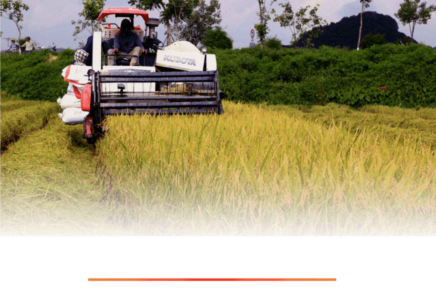 Emagazine Nông nghiệp Ninh Bình khẳng định bản sắc hướng tới khát vọng vươn tầm