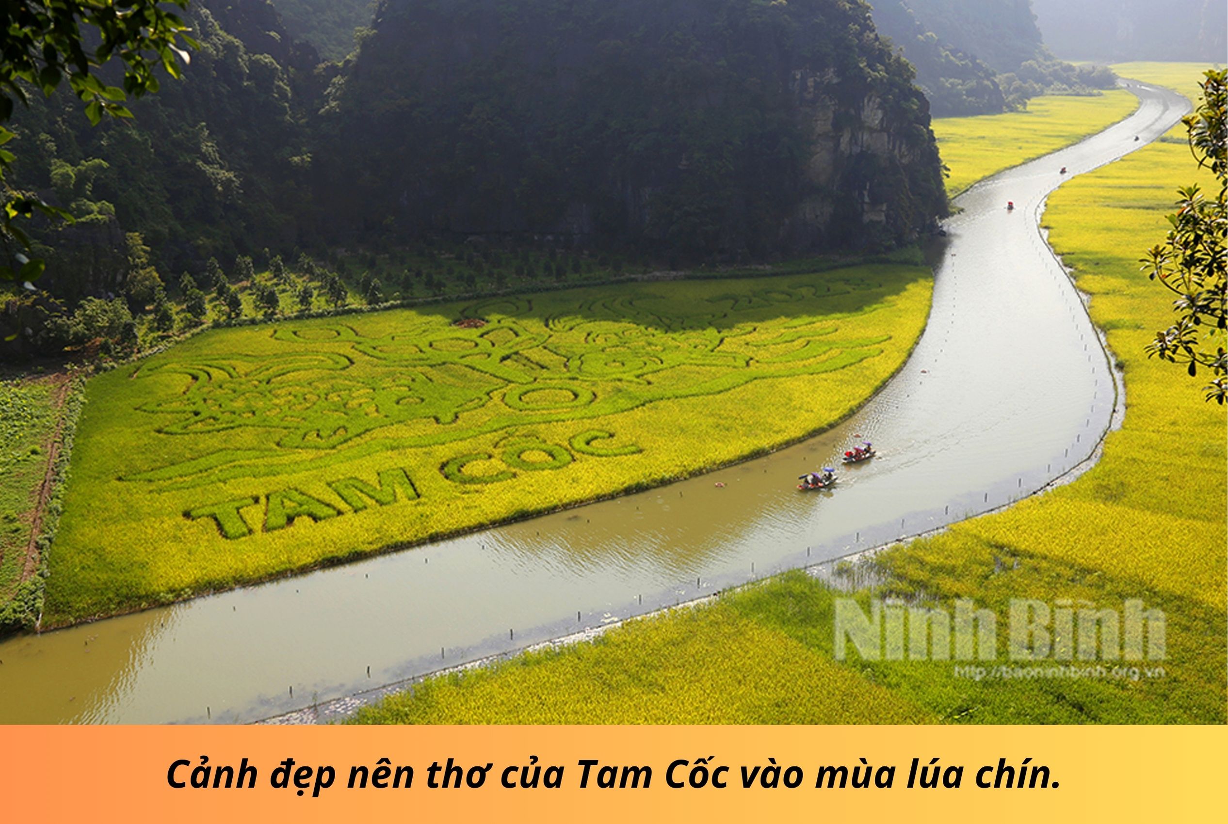 Emagazine Nông nghiệp Ninh Bình khẳng định bản sắc hướng tới khát vọng vươn tầm