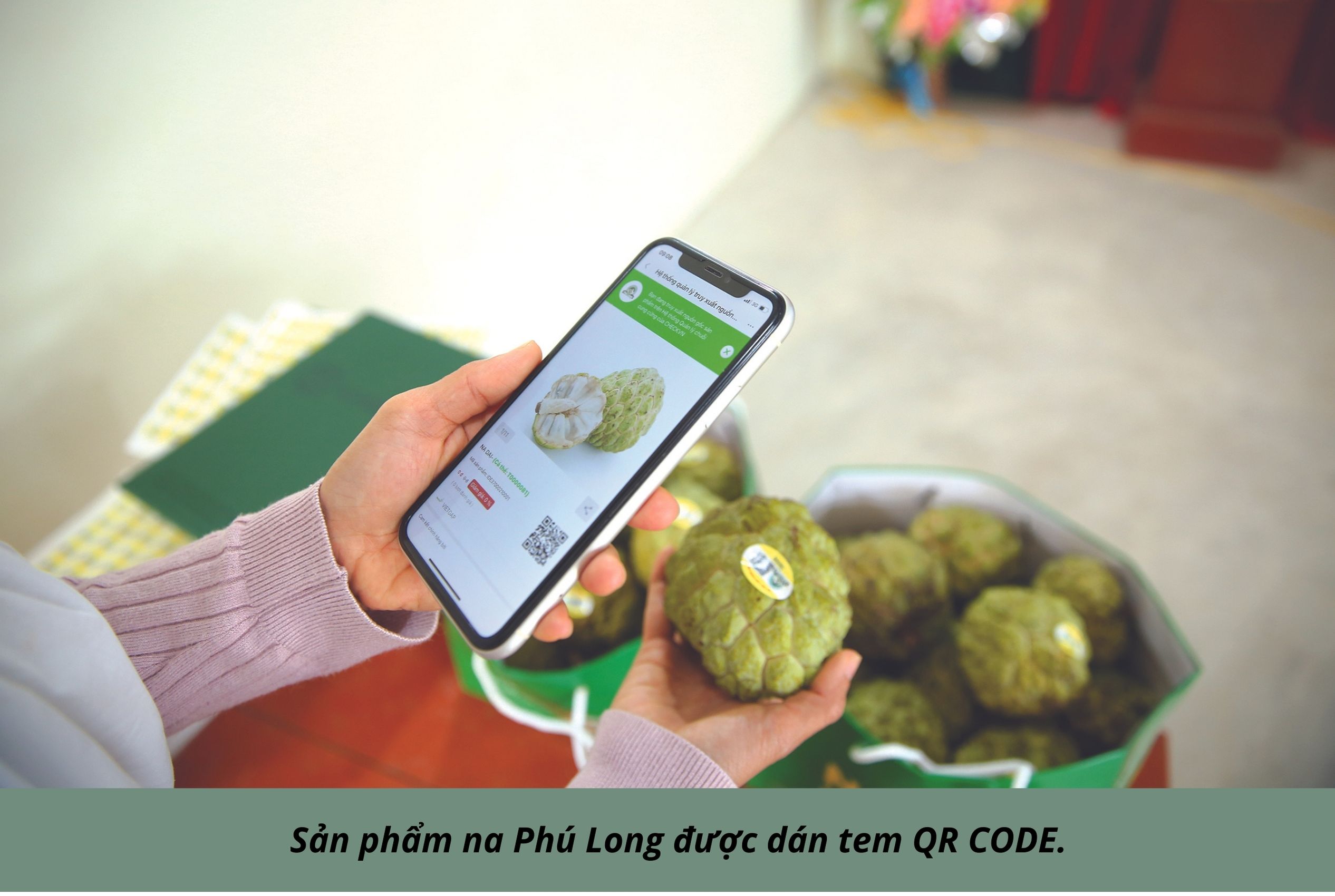 Emagazine Nông nghiệp Ninh Bình khẳng định bản sắc hướng tới khát vọng vươn tầm