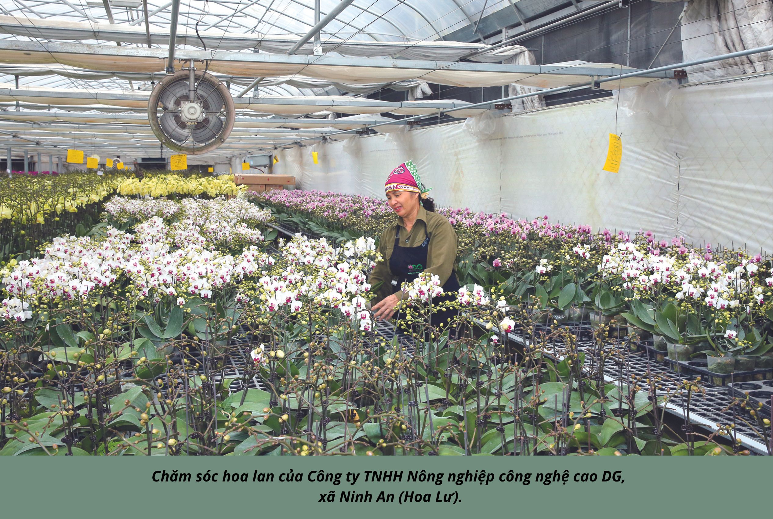 Emagazine Nông nghiệp Ninh Bình khẳng định bản sắc hướng tới khát vọng vươn tầm
