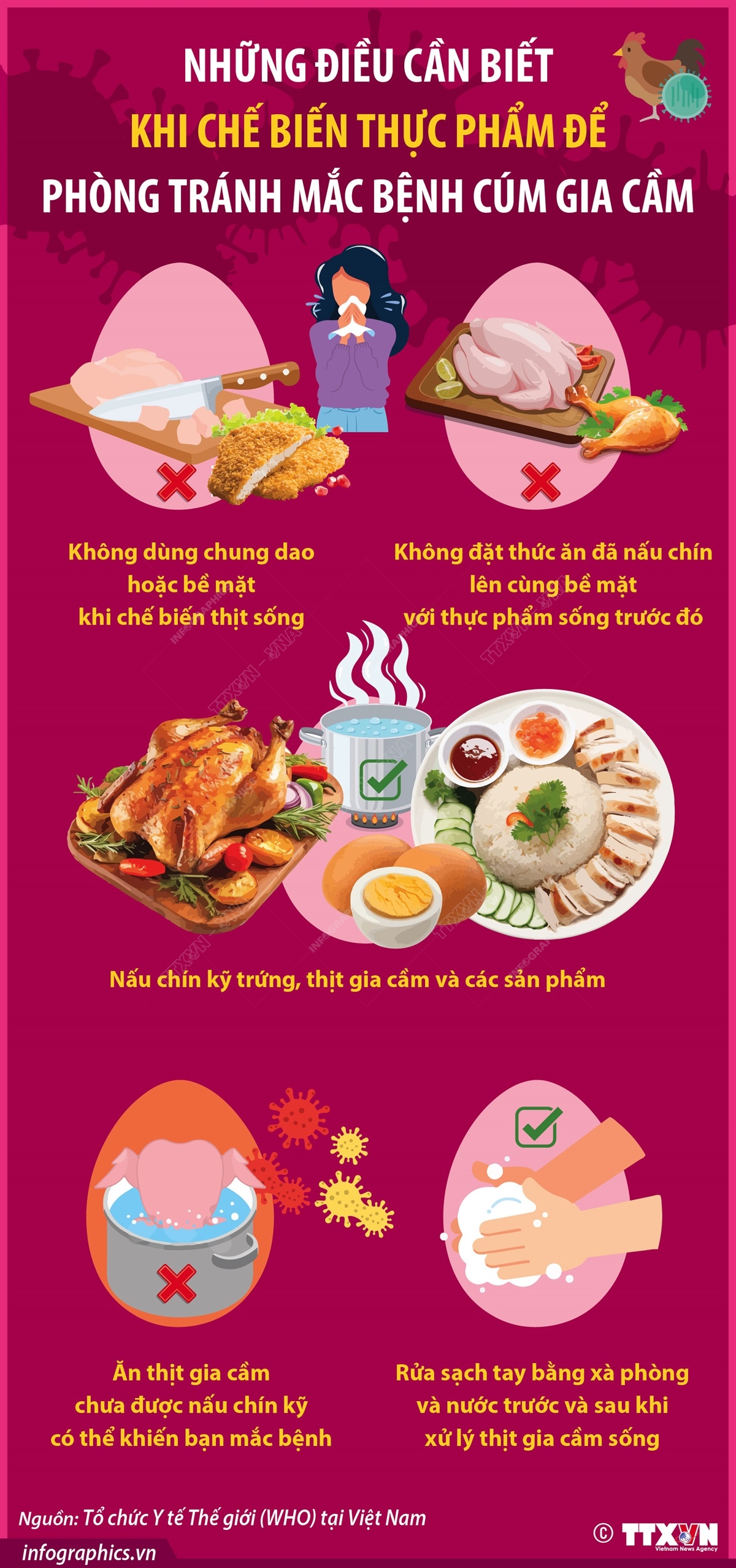 Infographics Những điều cần biết để phòng tránh bệnh cúm gia cầm