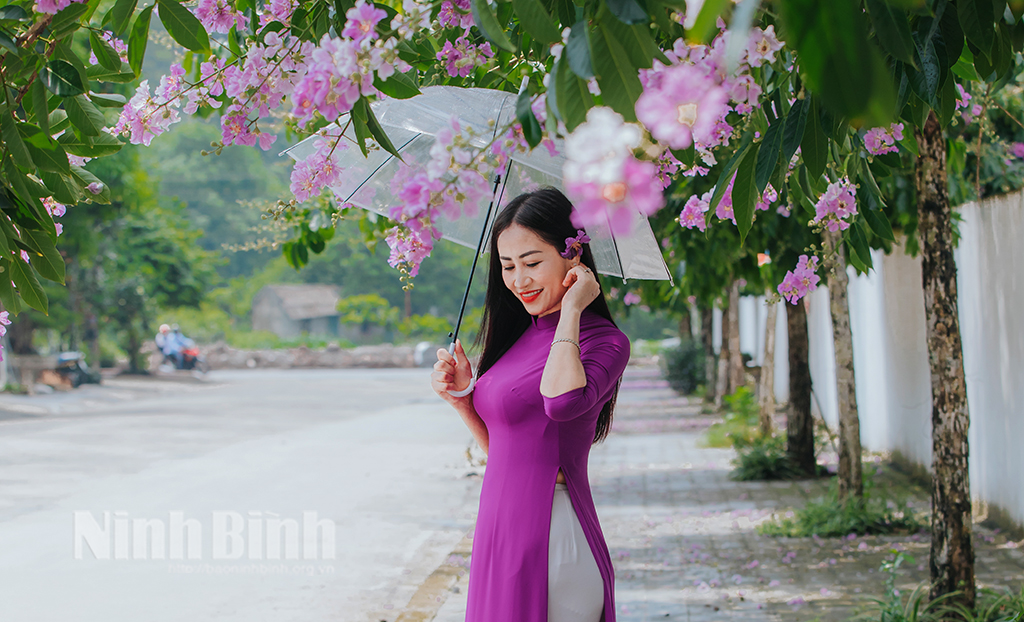 Mùa hoa bằng lăng tím tại Ninh Bình