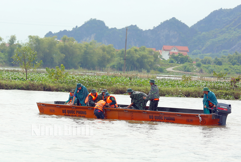 diễn tập