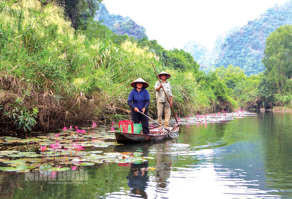 Giữ gìn đa dạng sinh học vùng Di sản