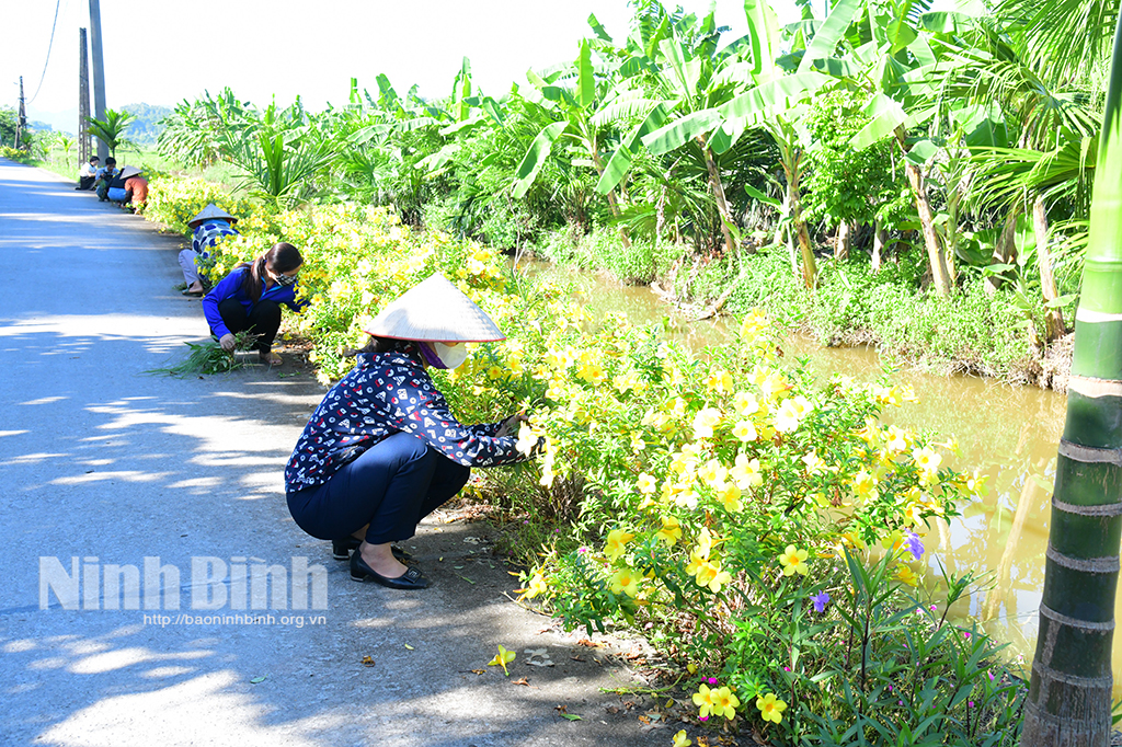 Phụ nữ xã Yên Thành chung sức xây dựng nông thôn mới nâng cao kiểu mẫu