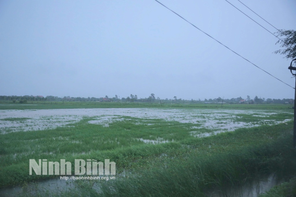 Các địa phương kịp thời chủ động ứng phó với bão số 3 và mưa lớn sau bão