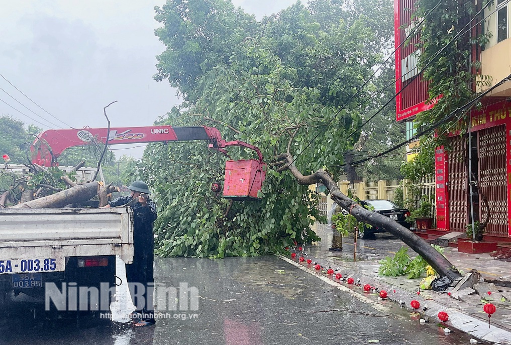 Các địa phương kịp thời chủ động ứng phó với bão số 3 và mưa lớn sau bão