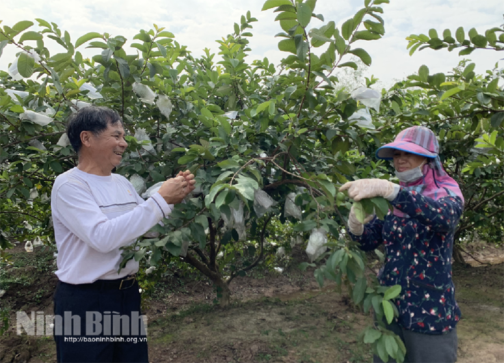 Khánh Thành, không còn hộ nghèo, cận nghèo là cựu chiến binh