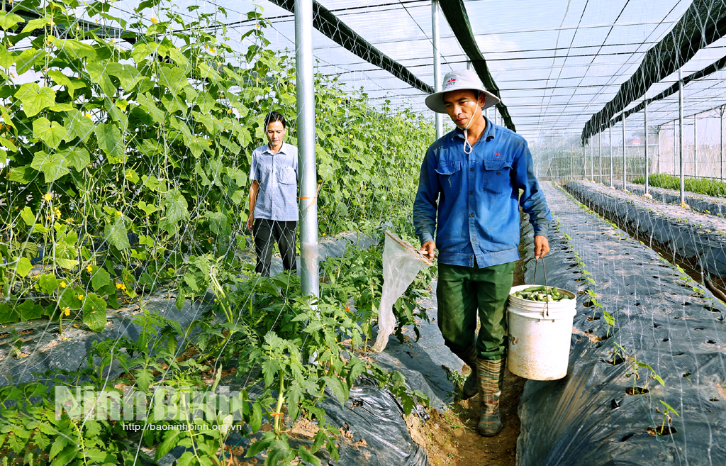 Đòn bẩy của sản xuất nông nghiệp