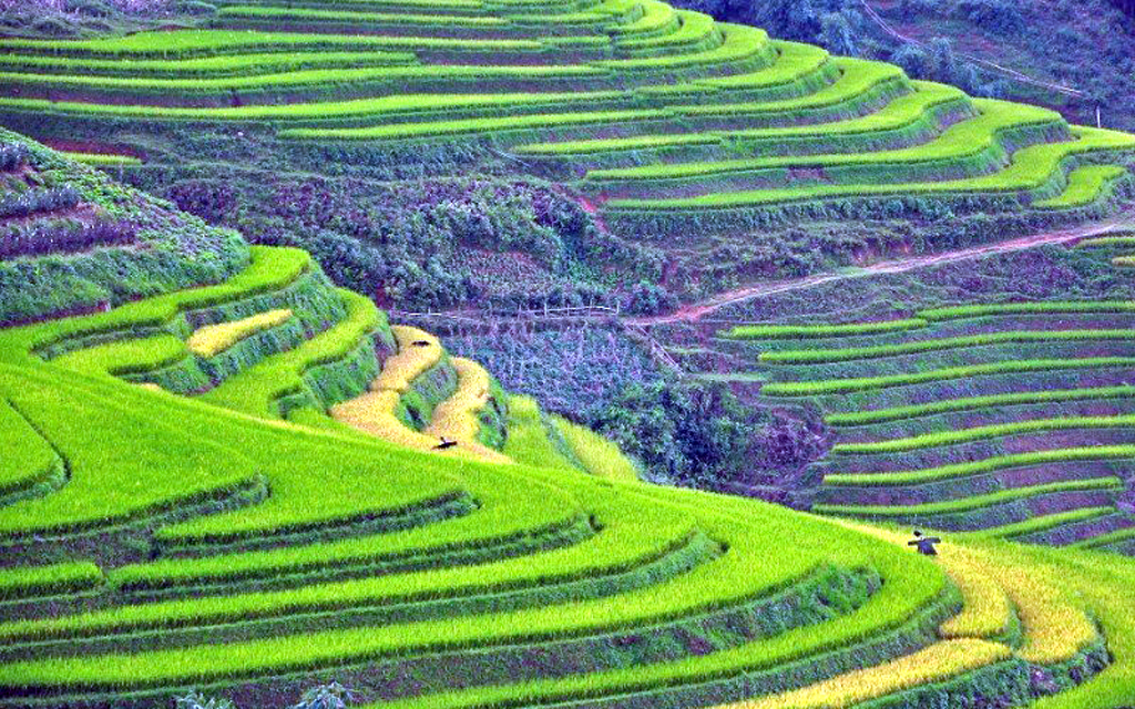 Sa Pa và Ninh Bình "vào Top" điểm hấp dẫn nhất cần khám phá tại châu Á