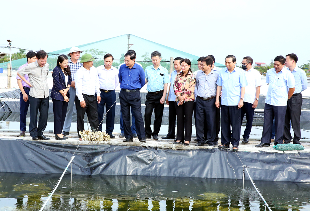 Minister of Agriculture and Rural Development works with Ninh Binh leaders
