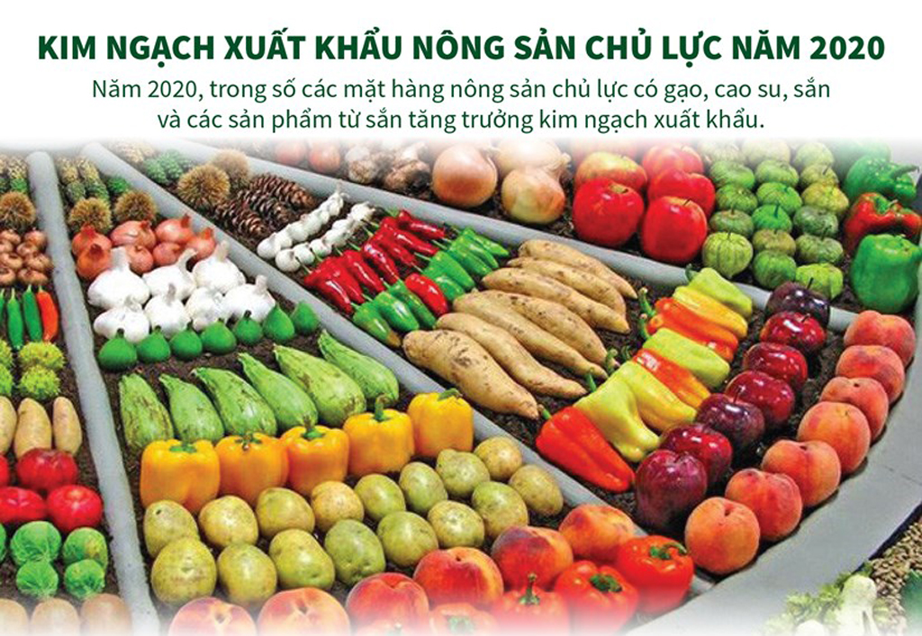 [Infographics] Kim ngạch xuất khẩu nông sản chủ lực năm 2020