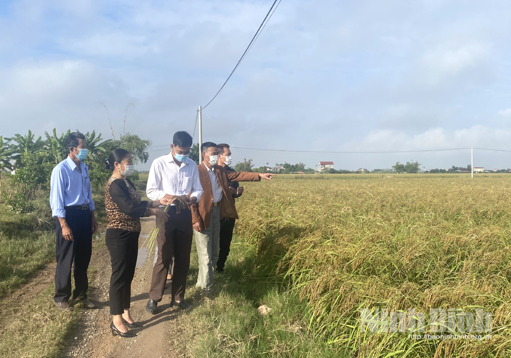 Hội Nông dân xã Như Hòa: Đa dạng các hình thức thu hút hội viên nông dân