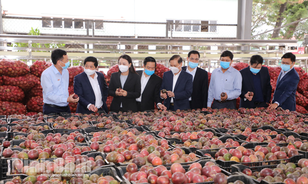 Provincial leaders work with Dong Giao Foodstuff Export Joint Stock Company