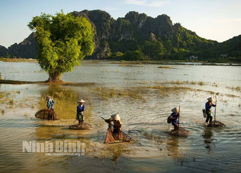 Phụ nữ đồng chiêm