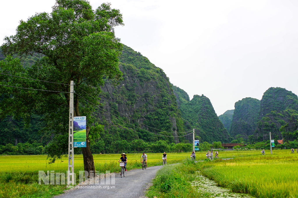 Du lịch đồng quê