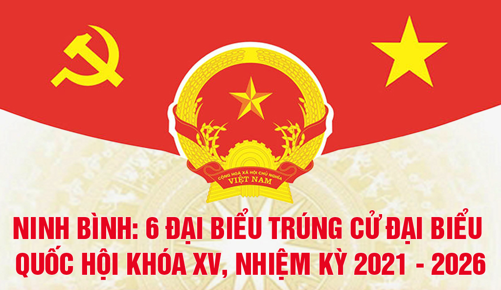 [Infographics] Ninh Bình: 6 đại biểu trúng cử đại biểu Quốc hội khóa XV