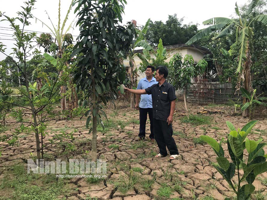 Lựa chọn nội dung đột phá trong phát triển kinh tế ở Yên Thành