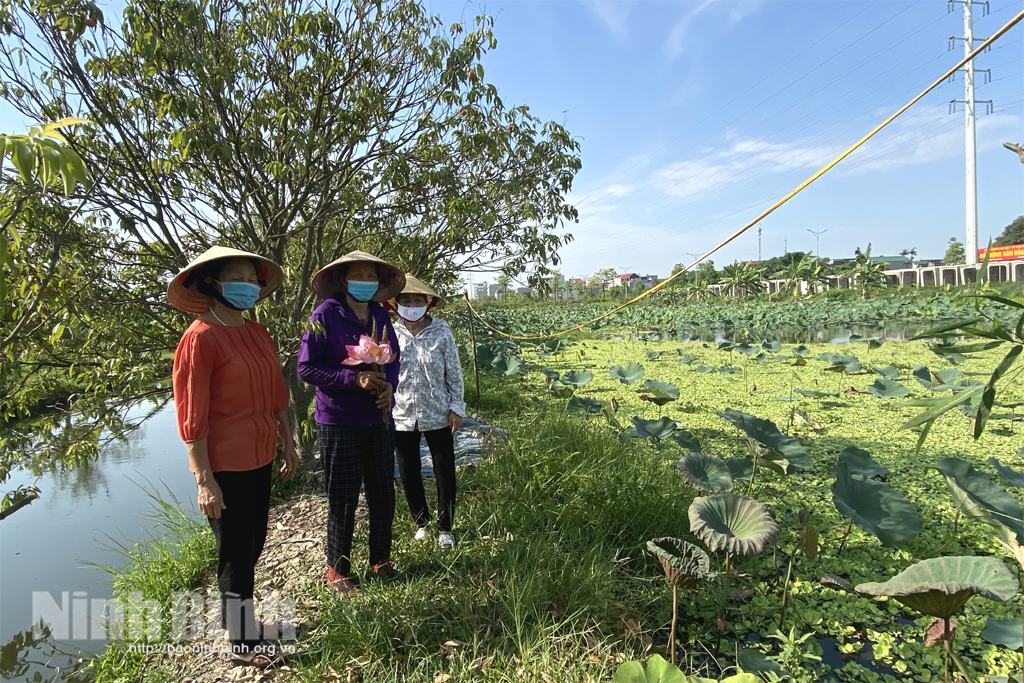 Thành phố Ninh Bình, chăm sóc và phát huy vai trò người cao tuổi