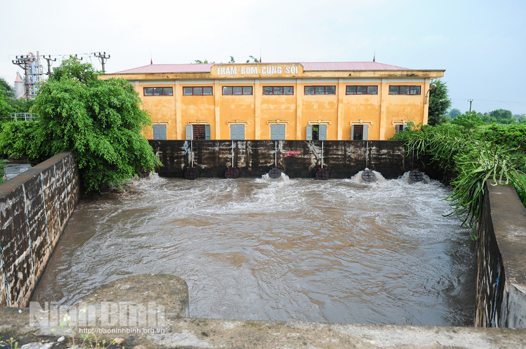 Gia Viễn chủ động chống úng cho diện tích lúa mùa