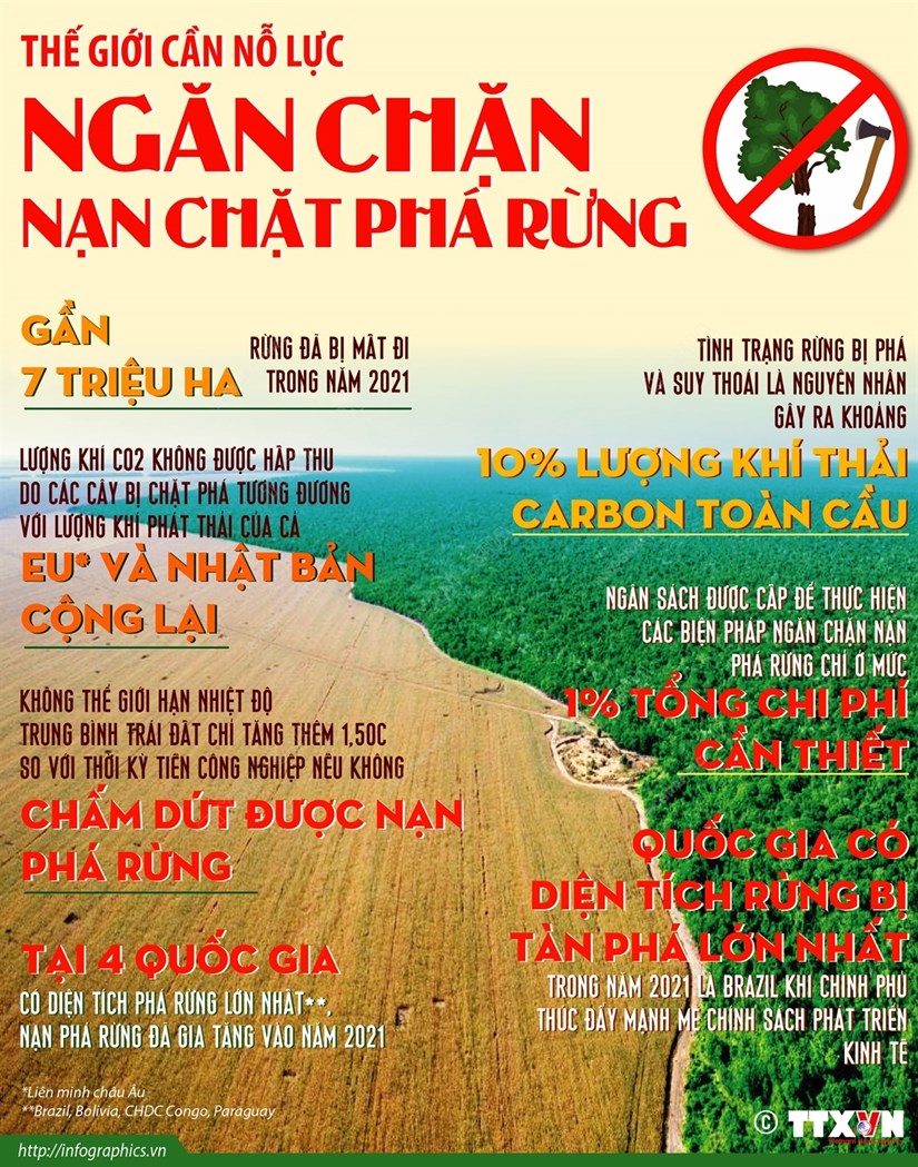 [Infographics] Thế giới cần nỗ lực ngăn chặn nạn chặt phá rừng