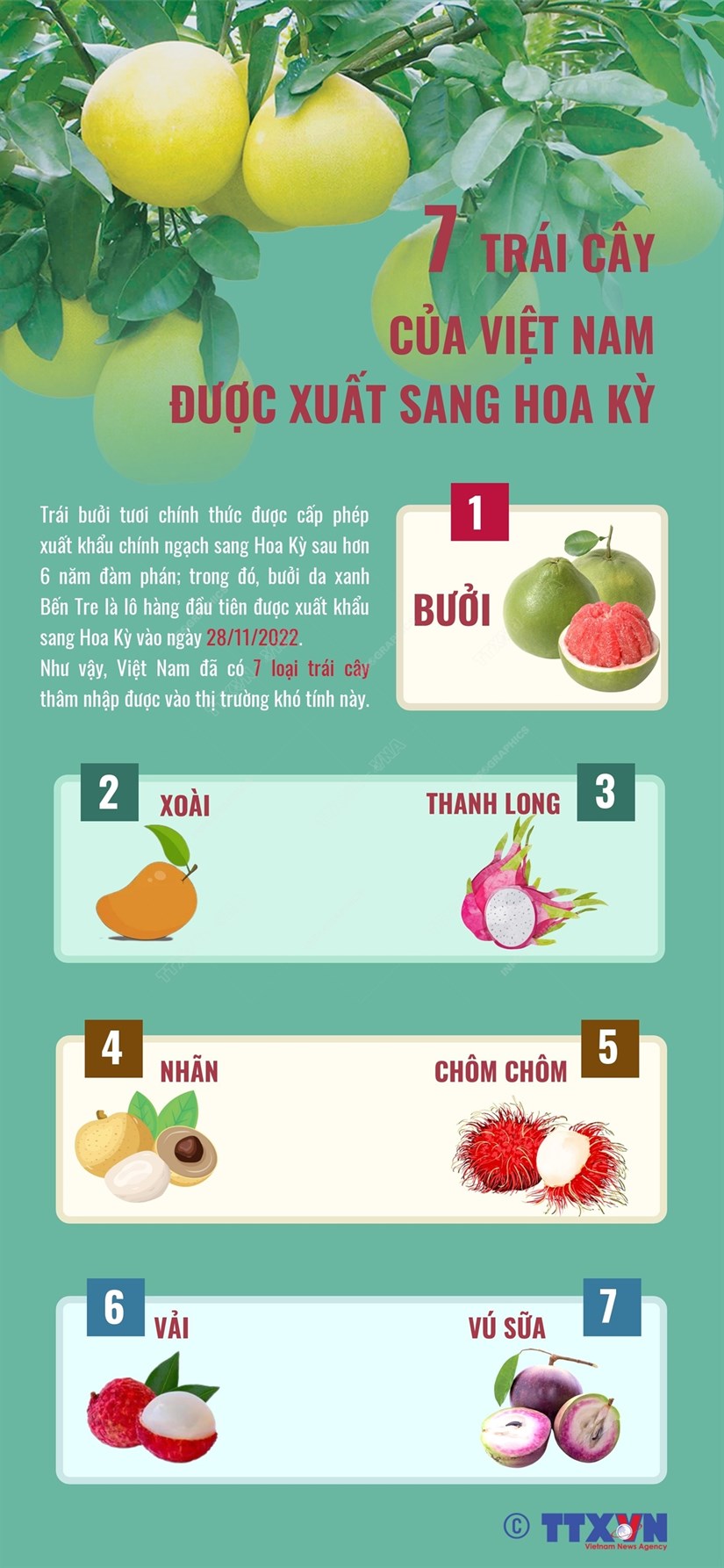 [Infographics] 7 trái cây của Việt Nam được xuất sang Hoa Kỳ